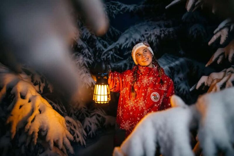 Rovaniemi: Enchanting Forest Lantern Walk with Santa's Elf - The Forest Lantern Walk in Rovaniemi: An Overview