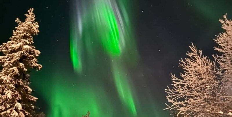 Rovaniemi: Enchanting Forest Lantern Walk with Santa's Elf - Picture-Perfect Moments in the Snowy Forest