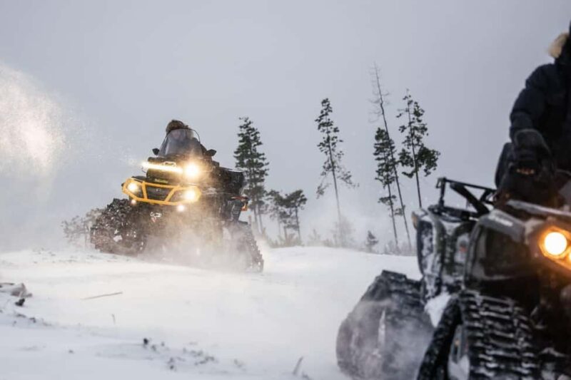 Rovaniemi Expedition "INTO THE WILD" and Glass Igloo Lunch - Exploring Lapland’s Winter Landscape on a Safari