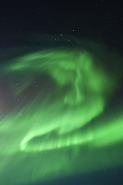 Rovaniemi: Family-Friendly Northern Lights Tour - The Role of the Guide and Local Expertise