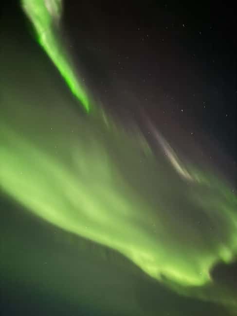 Rovaniemi: Family-Friendly Northern Lights Tour - Accessibility and Family Suitability