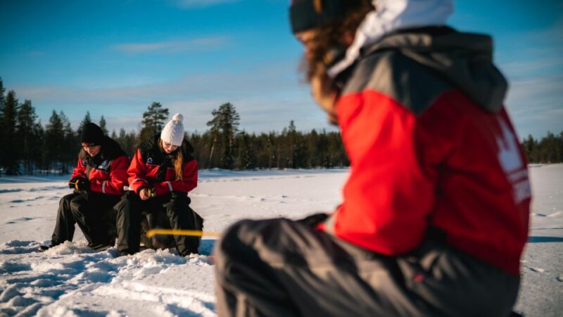 Rovaniemi: Family Fun Day with Huskies and Reindeer - The Husky Sleigh Ride Experience