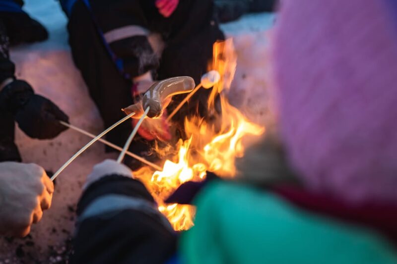 Rovaniemi: Family Snowmobile Trip with Guide and Picnic - Timing, Physical Requirements, and Flexibility