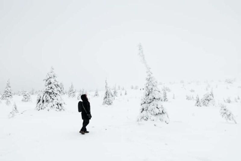 Rovaniemi: Fine Art Portraits & Film in Finnish Lapland - Key Points