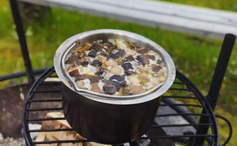 Rovaniemi forest foraging adventure: Pick, Prepare, Savor - Rovaniemi Forest Foraging Adventure: Pick, Prepare, Savor