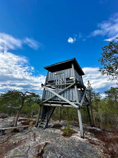 Rovaniemi: Full-Day Tour to Lapland's Best Attractions 5in1 - Visiting Ranua Wildlife Park’s Arctic Animals