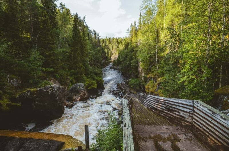 Rovaniemi: Full-Day Tour to Lapland's Best Attractions 5in1 - Witnessing the Midnight Sun from Vikaköngäs Hill