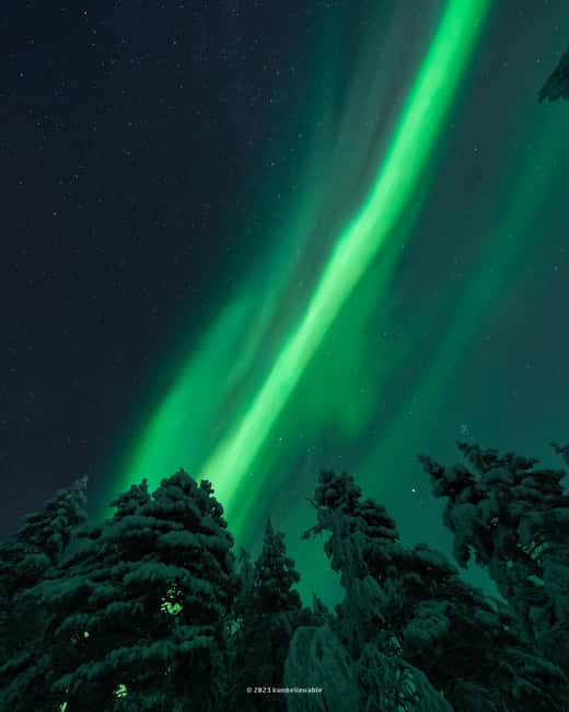 Rovaniemi: Genuine Aurora Hunting with Unlimited Pro Photos - Tour Duration, Flexibility, and Weather Considerations