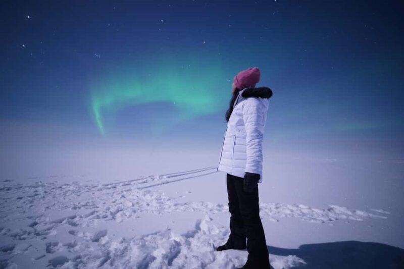 Rovaniemi: Guaranteed Aurora Hunt with Local Guides & Photos - The Night Includes Campfire and Arctic Atmosphere