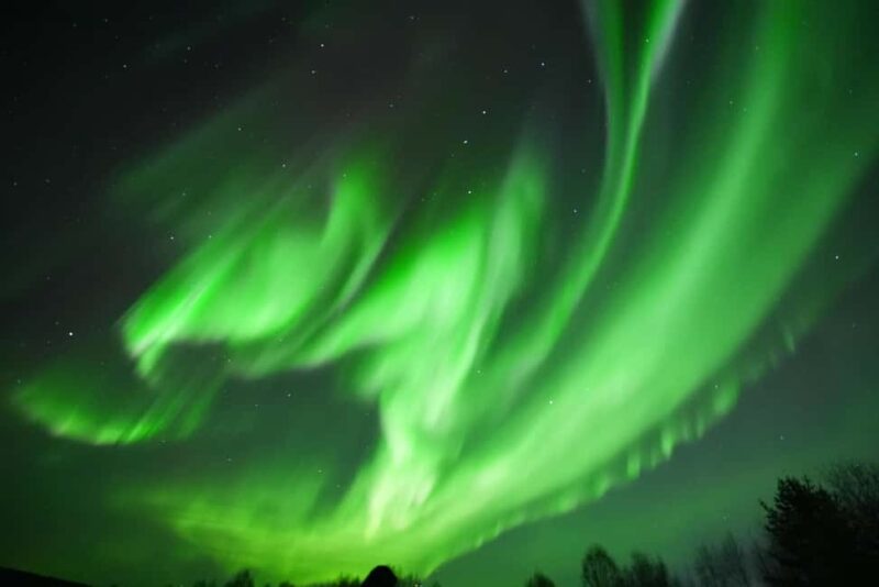 Rovaniemi: Guaranteed Aurora Hunting Tour with Photos&Videos - The Experience Provider and Similar Tours