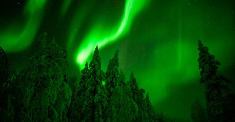 Rovaniemi: Guaranteed Northern Lights Hunting Adventure - Key Points