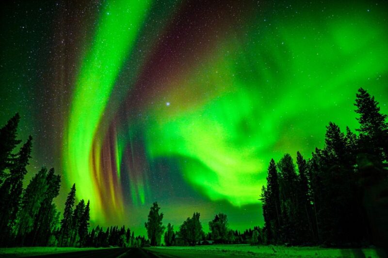 Rovaniemi: Guaranteed Northern Lights Hunting Adventure - Weather and Aurora Guarantee