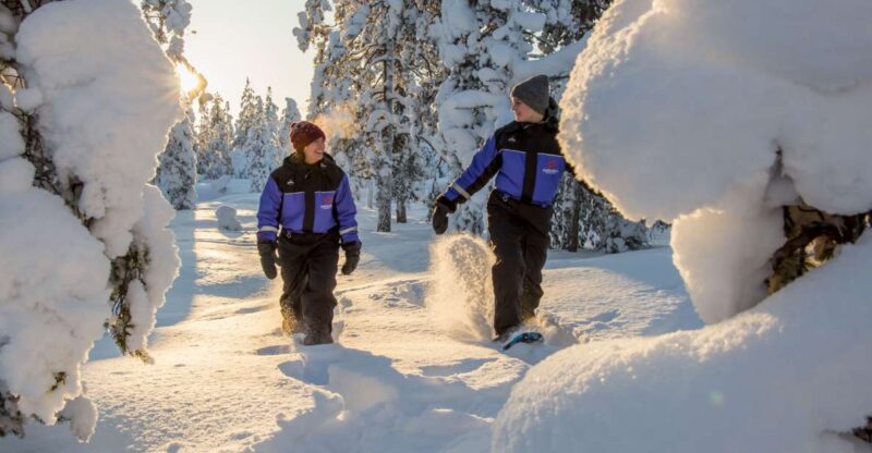 Rovaniemi: Guided Lappish Wilderness Snowshoeing Adventure - Key Points