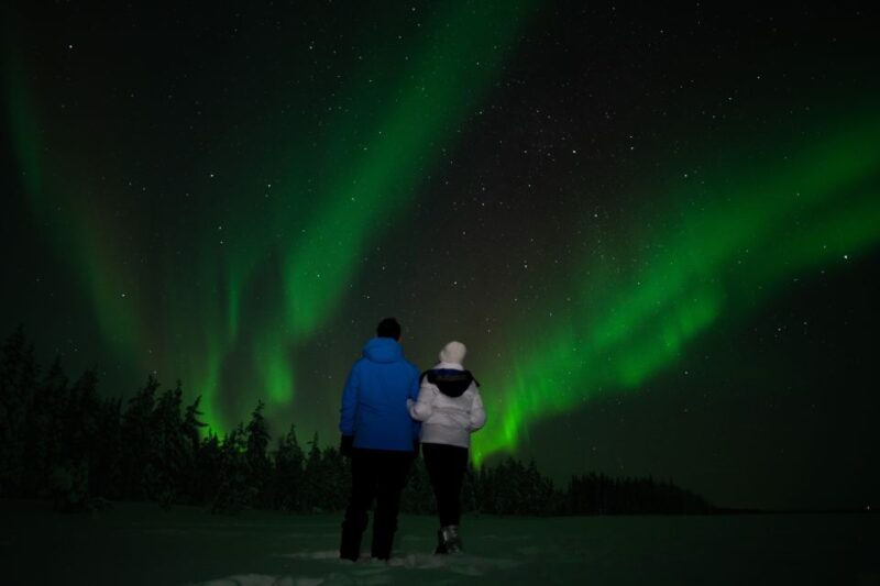 Rovaniemi: Guided Northern Lights Tour - Transportation and Equipment for Arctic Comfort
