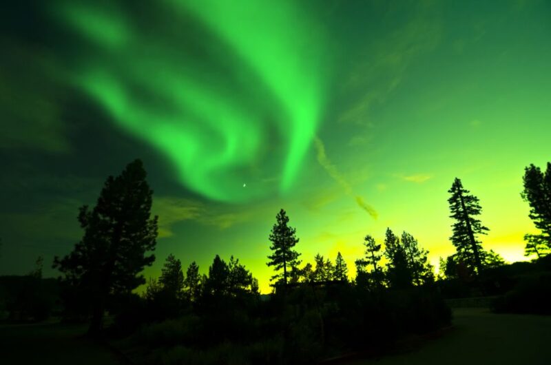 Rovaniemi: Guided Northern Lights Tour - Additional Comforts and Flexibility