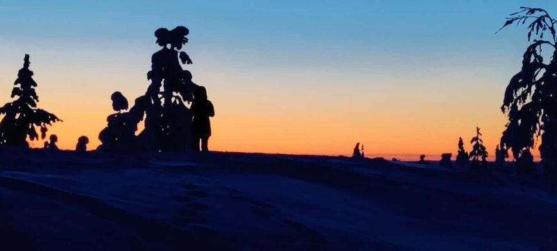 Rovaniemi: Guided Snowshoeing Forest Escape - Snowshoeing Route to Ounasvaaras Summit