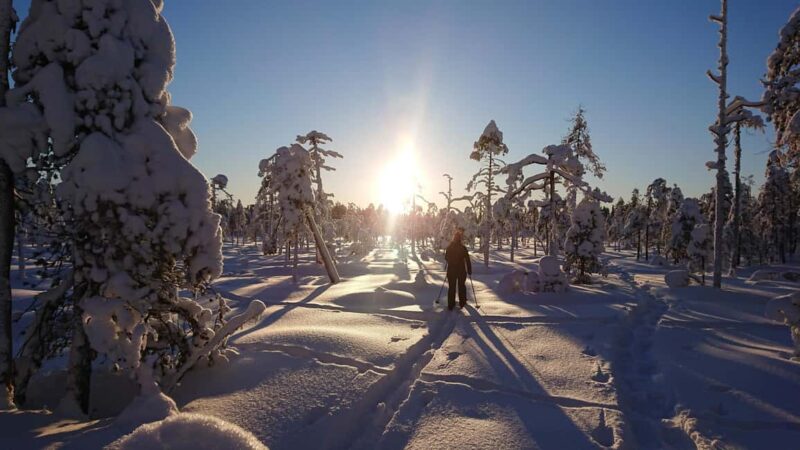 Rovaniemi: Guided Snowshoeing Forest Escape - Panoramic Views from Ounasvaaras Summit