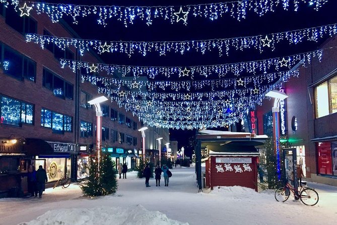 Rovaniemi Guided Tour and Santa Claus Village - Logistics: Pickup, Group Size, and Pacing