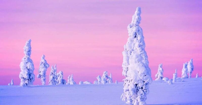 Rovaniemi: Half-Day Snowmobile & Ice Fishing Experience - Summary of the Experience’s Strengths and Considerations