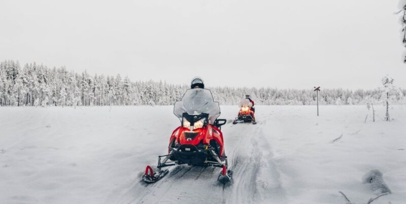 Rovaniemi: Half-Day Snowmobile Tour - Key Points