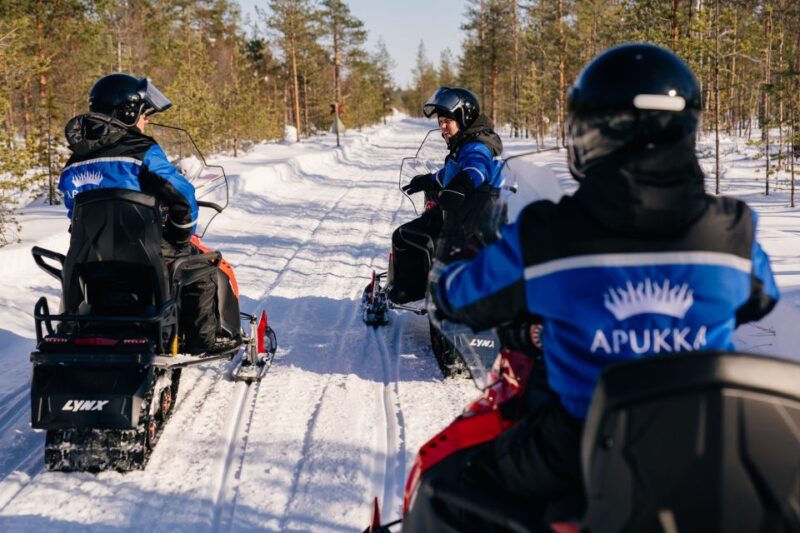 Rovaniemi: Half-Day Snowmobile Tour - The Open Fire and Snack Experience