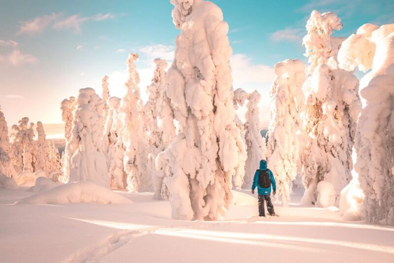 Rovaniemi: Hiking and Snowshoeing Adventure in Lapland - Who Will Appreciate This Tour the Most