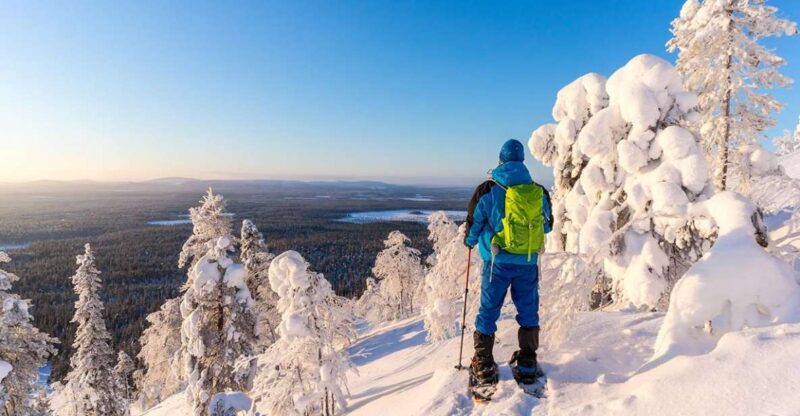 Rovaniemi: Hiking and Snowshoeing Adventure in Lapland - Rovaniemi’s Snowshoeing and Hiking Tour Compared to Others