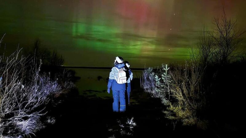 Rovaniemi: hunting for the Northern Lights with BBQ - Key Points