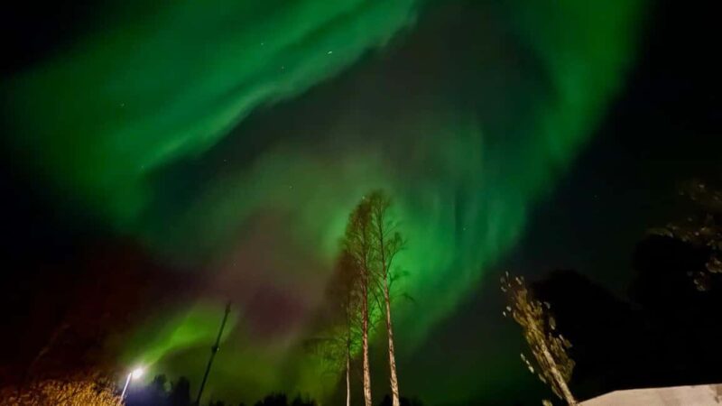 Rovaniemi: hunting for the Northern Lights with BBQ - What’s Included in the Tour