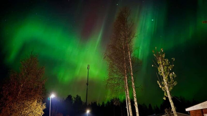 Rovaniemi: hunting for the Northern Lights with BBQ - The Food and Warmth Experience