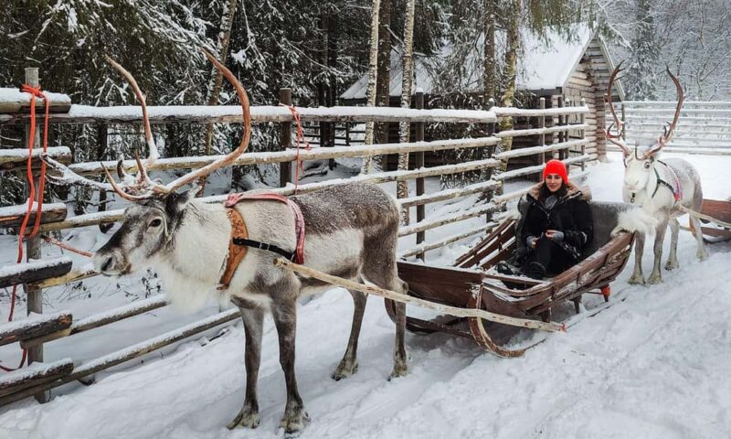 Rovaniemi: Husky and Reindeer Farm Visit with Sled Ride - Reindeer Sleigh Ride Through Winter Landscapes