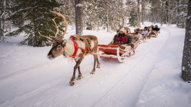 Rovaniemi: Husky and Reindeer Farm Visit with Sled Ride - Practical Details and Tour Logistics