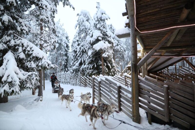 Rovaniemi: Husky and reindeer farm visit with sleigh rides - Visiting the Husky Farm: Insights and Sledge Ride