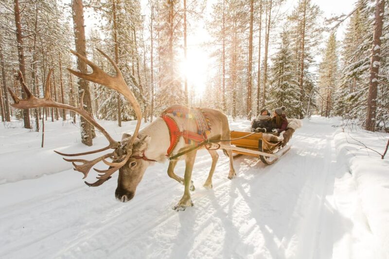 Rovaniemi: Husky and Reindeer farm with sleigh ride - Key Points