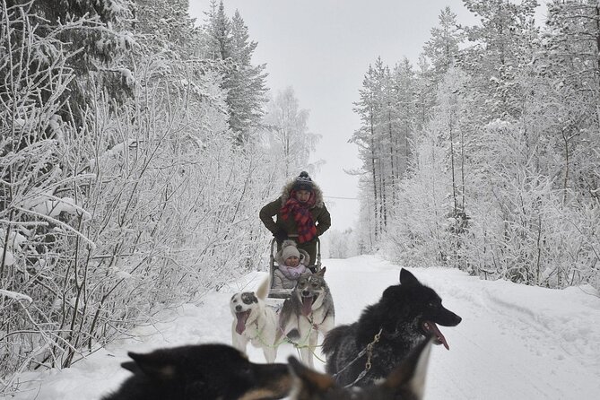Rovaniemi Husky Safari & Campfire BBQ 610 km SelfDrive - Who Will Enjoy the Husky Safari & Campfire BBQ?
