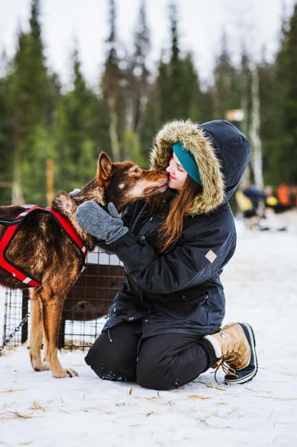 Rovaniemi: Husky Sled Ride and Farm Visit - Final Thoughts on the Rovaniemi Husky Sled and Farm Visit