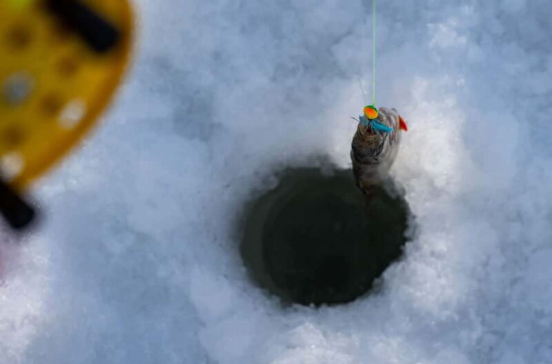 Rovaniemi: Ice Fishing, Private Sauna & Salmon Soup - Tasting Finnish Salmon Soup in a Cozy Cottage