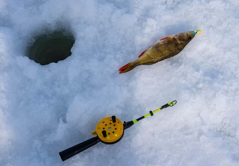 Rovaniemi: Ice Fishing, Private Sauna & Salmon Soup - Why Choose This Tour Over Others