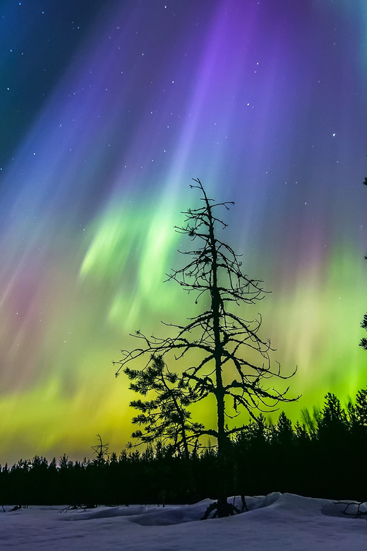 Rovaniemi: Ice Floating in Forest Lake with Aurora Borealis - Comparing This Tour with Other Rovaniemi Experiences