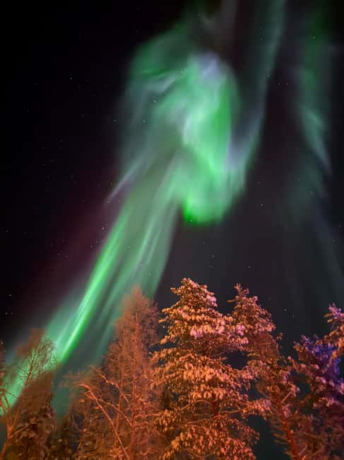 Rovaniemi: Ice Swimming, Private Jacuzzi, and Sauna - Cozy Cafe and Hot Beverages Post-Activities