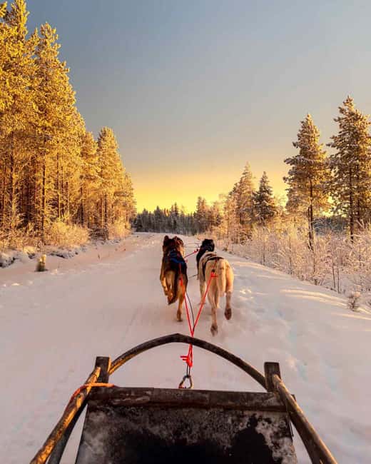 Rovaniemi: Insider 10 km Husky Sled Ride - Warming Up in a Traditional Kota