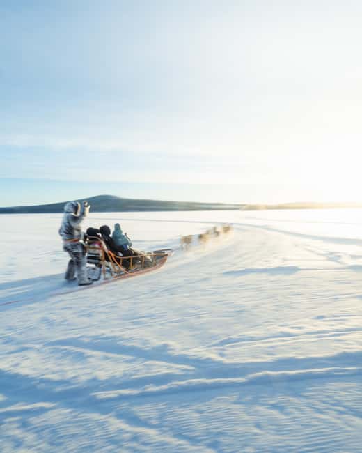 Rovaniemi: Insider 10 km Husky Sled Ride - The Experience from a Practical Perspective