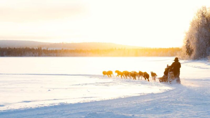 Rovaniemi: Insider 5km Husky Self Drive Tour - The Rovaniemi: Insider 5km Husky Self Drive Tour Overview