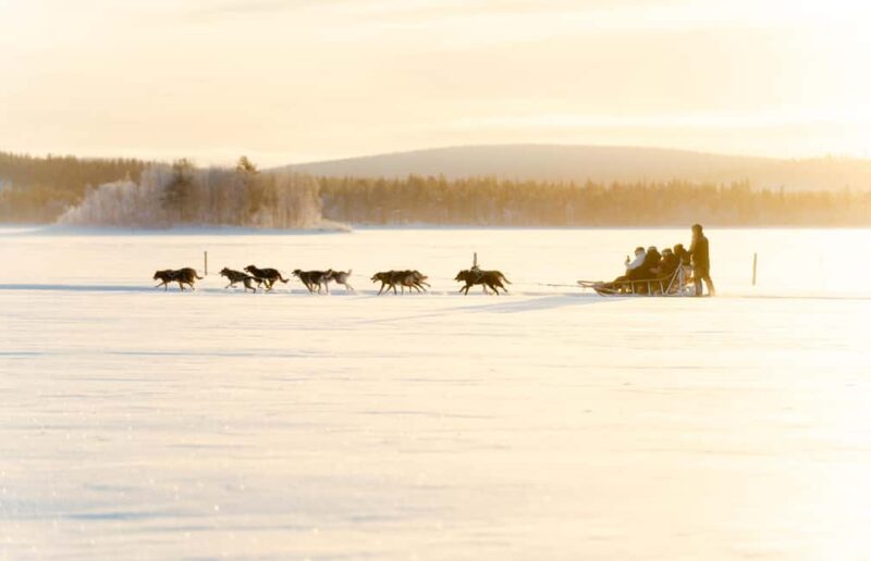 Rovaniemi: Insider 5km Husky Self Drive Tour - Interacting with the Huskies and Capturing Memories