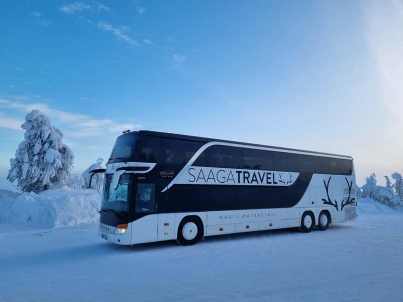 Rovaniemi: Insider Northern Lights Bus with Drinks & Snacks - Key Points