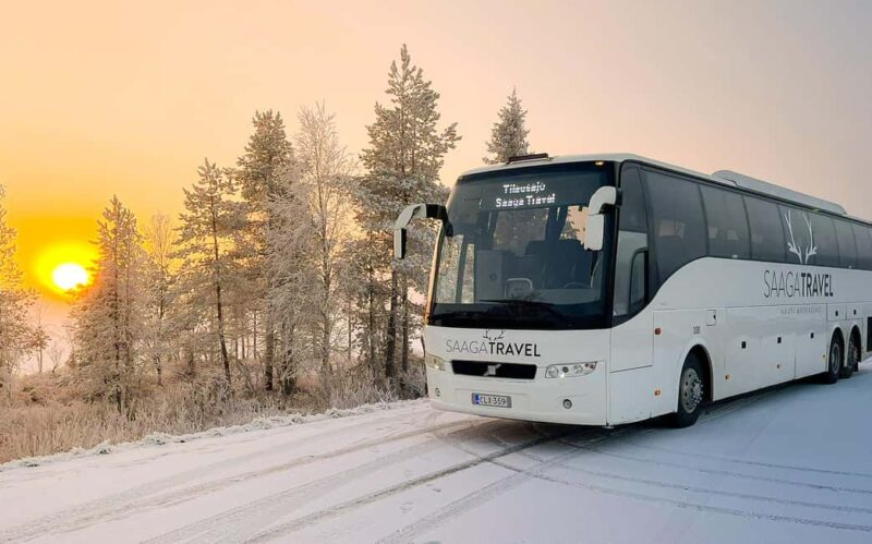 Rovaniemi: Insider Northern Lights Bus with Drinks & Snacks - Visit Prime Aurora Viewing Locations around Rovaniemi