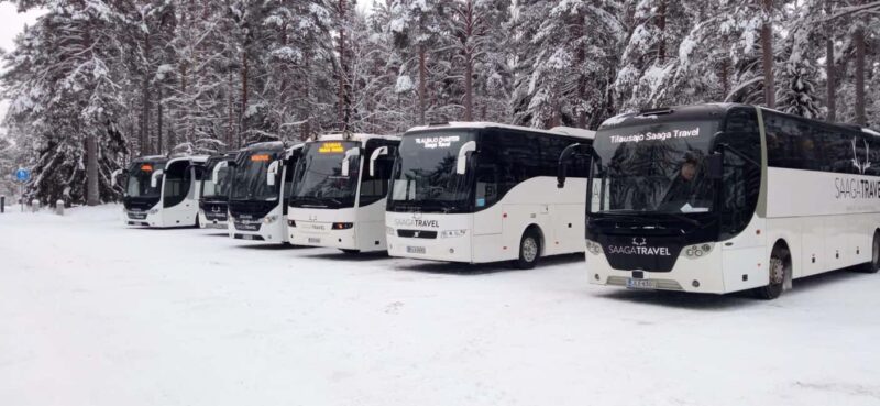 Rovaniemi: Insider Northern Lights Bus with Drinks & Snacks - Practical Details: Meeting Point and What to Bring