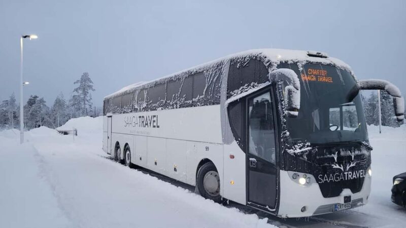 Rovaniemi: Insider Northern Lights Bus with Drinks & Snacks - Suitability and Accessibility