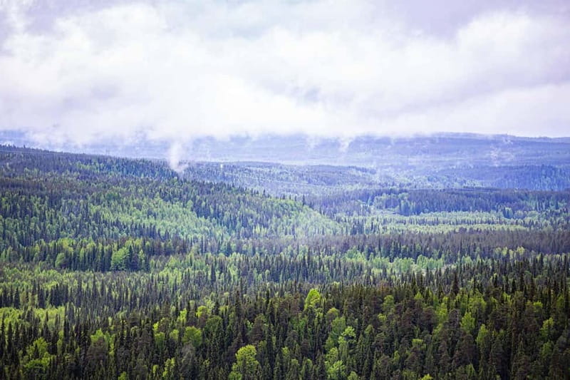 Rovaniemi: Korouoma Canyon and Auttiköngäs Falls Tour - Key Points