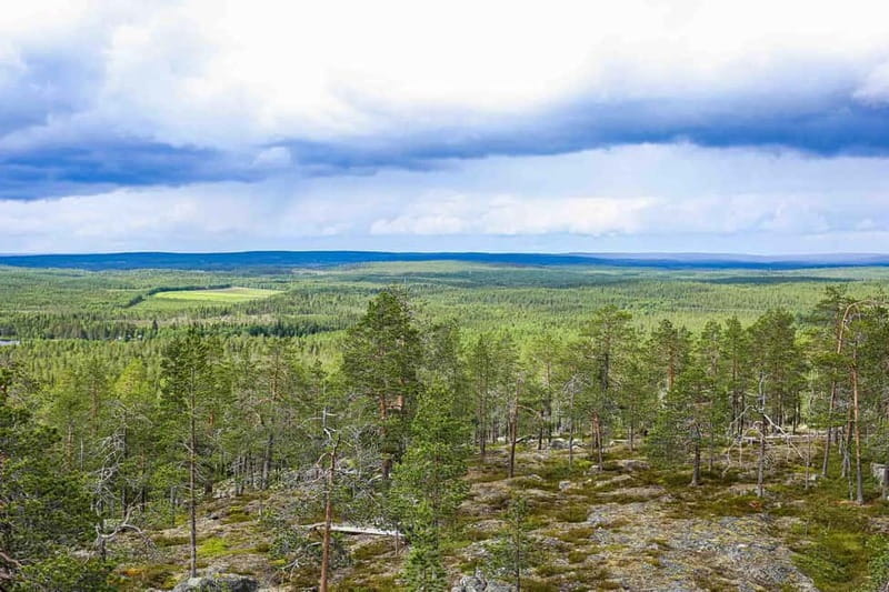 Rovaniemi: Korouoma Canyon and Auttiköngäs Falls Tour - Practical Details: Transport, Group Size, and Accessibility